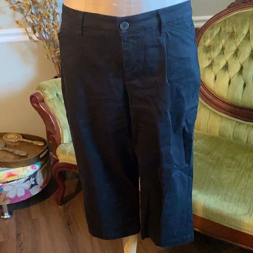 Gloria Vanderbilt cropped pants. Women’s 8.